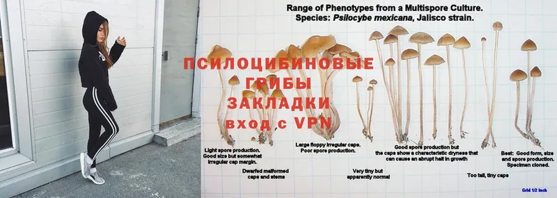 Галлюциногенные грибы мухоморы  Фролово 